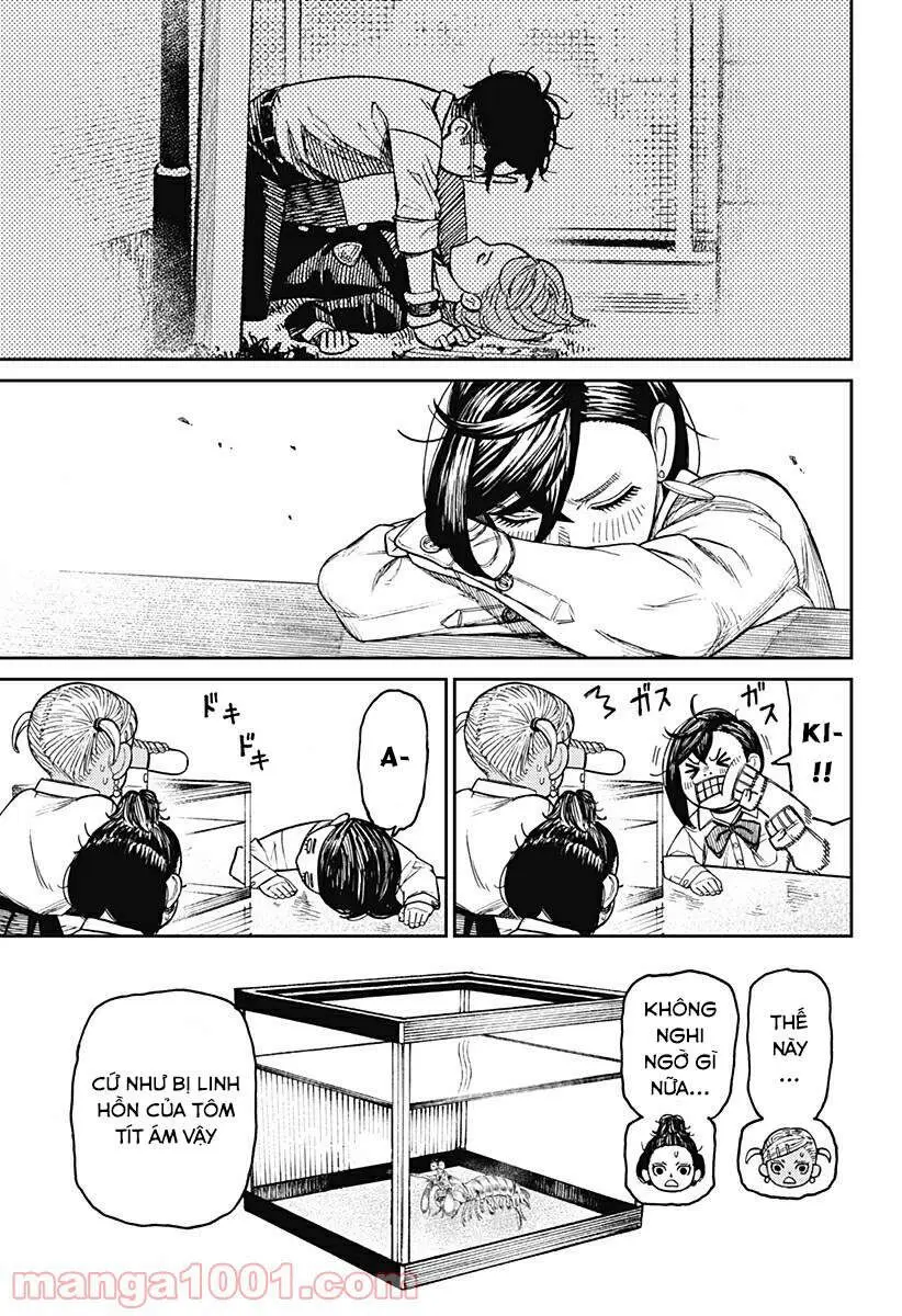 Chapter 19 trang 13