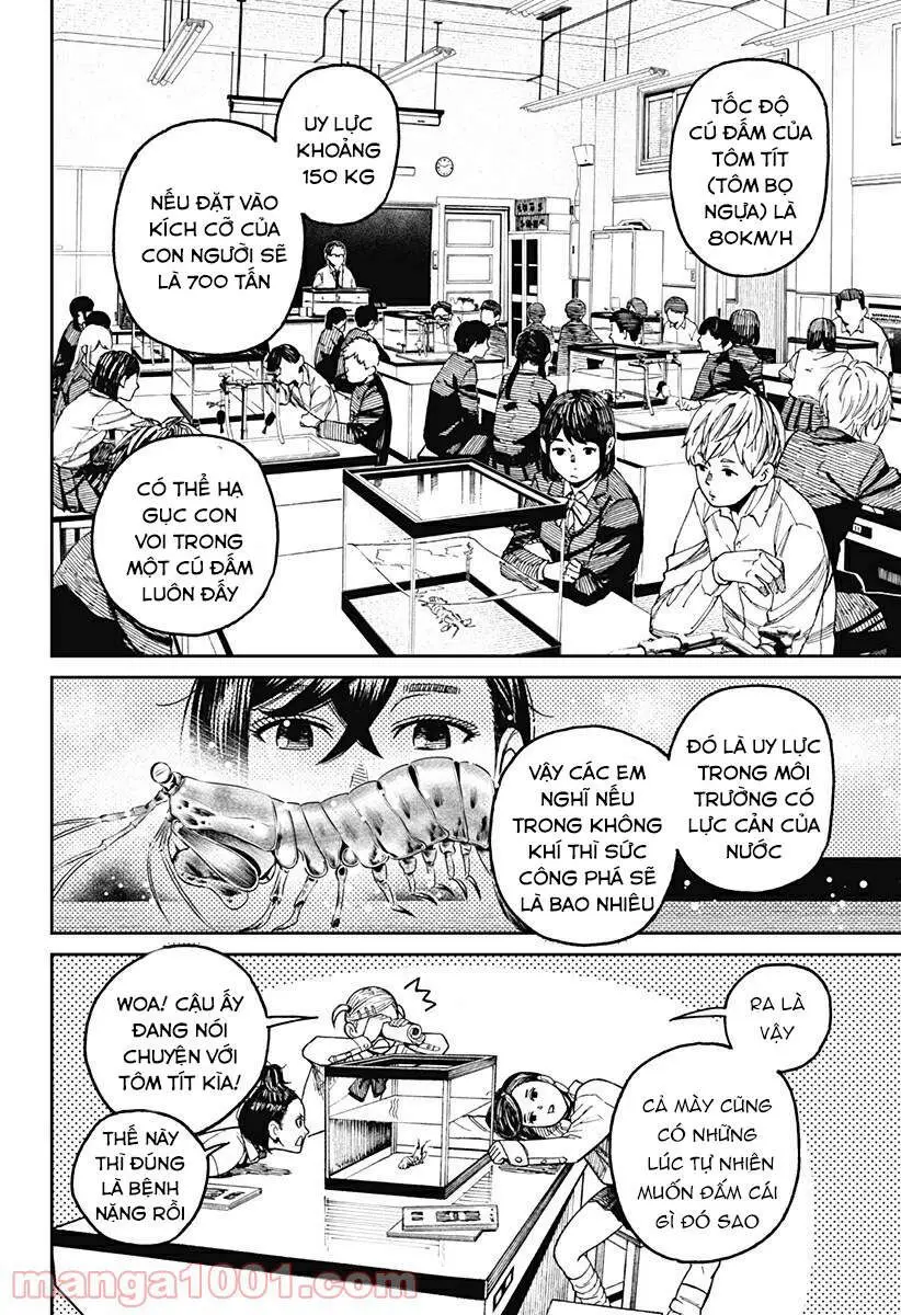 Chapter 19 trang 12