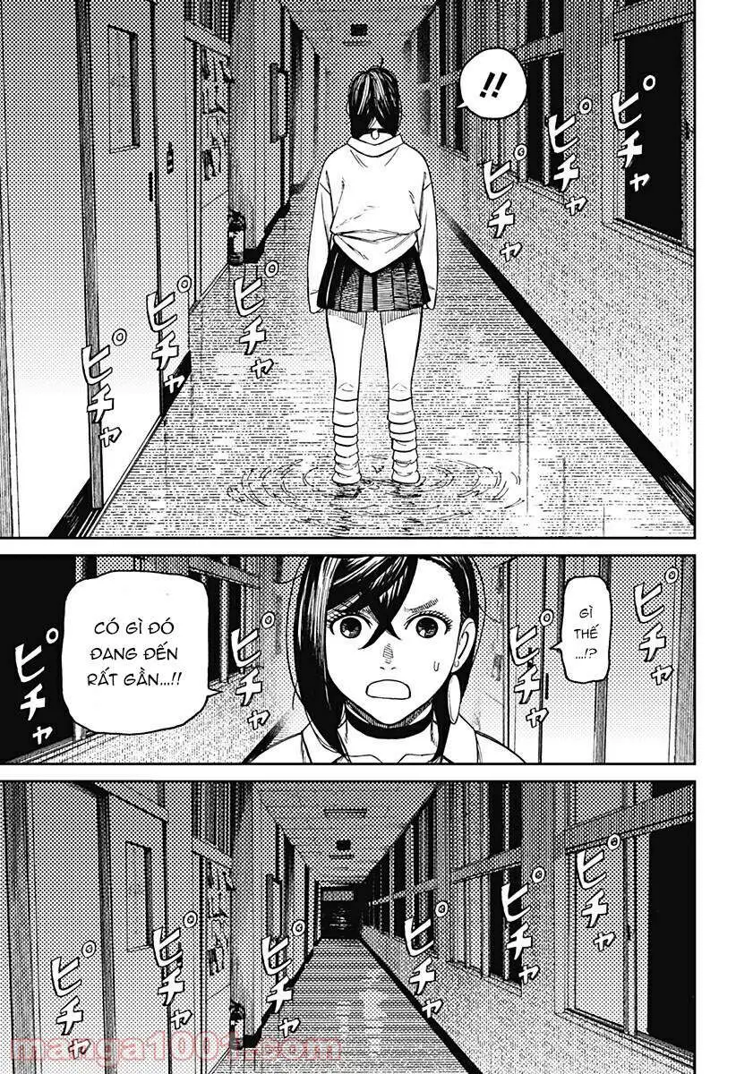Chapter 19 trang 19