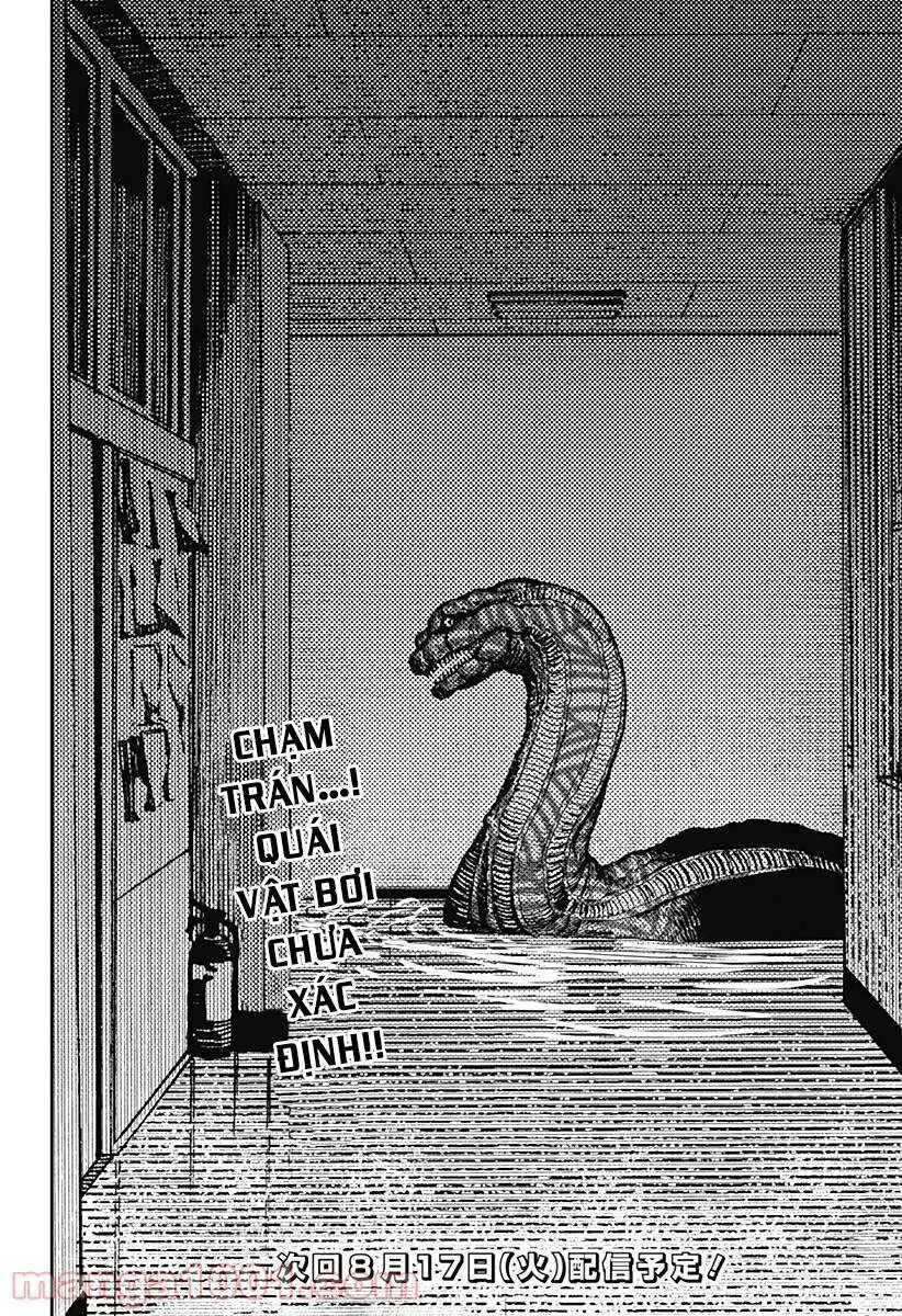 Chapter 19 trang 20