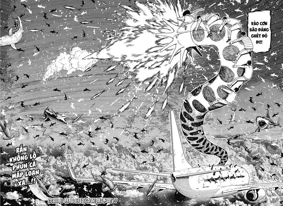 Chapter 196 trang 17