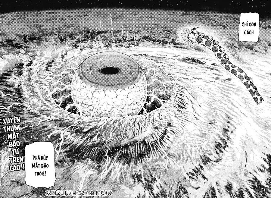 Chapter 197 trang 19