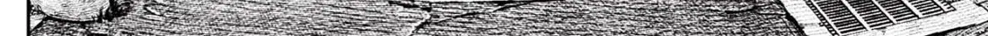 Chapter 219 trang 14