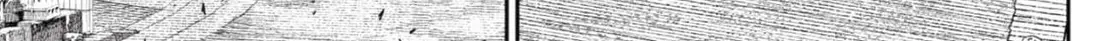 Chapter 219 trang 23