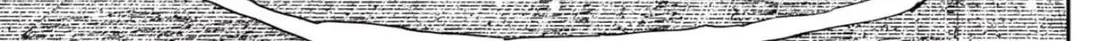 Chapter 219 trang 35