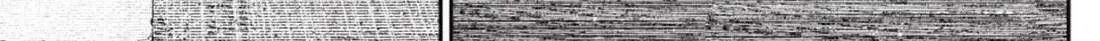 Chapter 219 trang 41