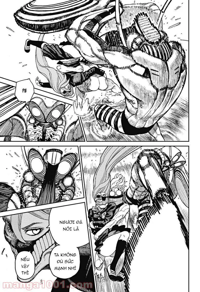 Chapter 22 trang 13