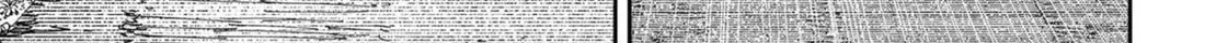 Chapter 220 trang 3