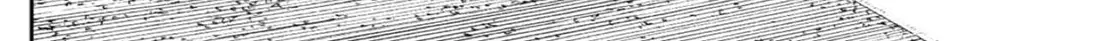 Chapter 221 trang 12