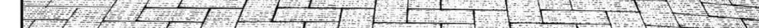 Chapter 221 trang 48