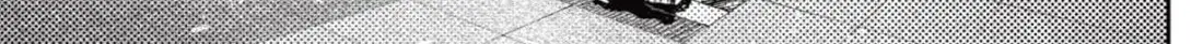 Chapter 222 trang 17