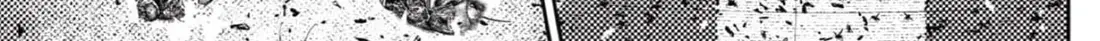 Chapter 222 trang 29
