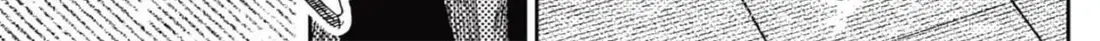 Chapter 224 trang 25