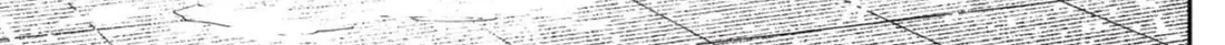 Chapter 224 trang 45