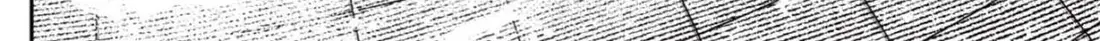 Chapter 224 trang 49