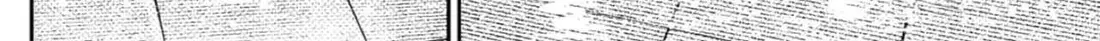 Chapter 224 trang 62